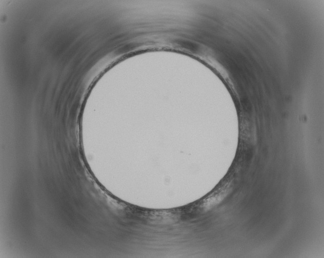 X0000074310807200609011511