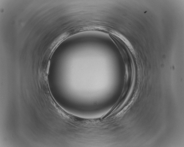 X0000074310809200609011511