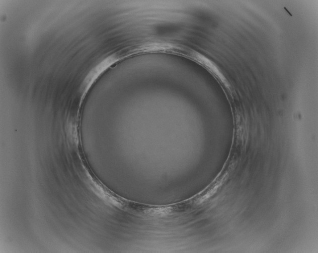 X0000074310810200609011511