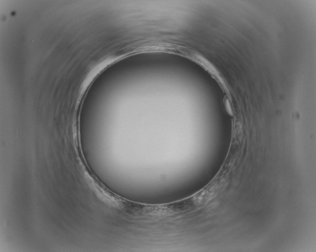 X0000074310811200609011511