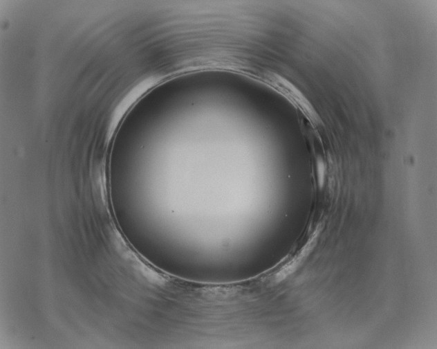 X0000074310812200609011511