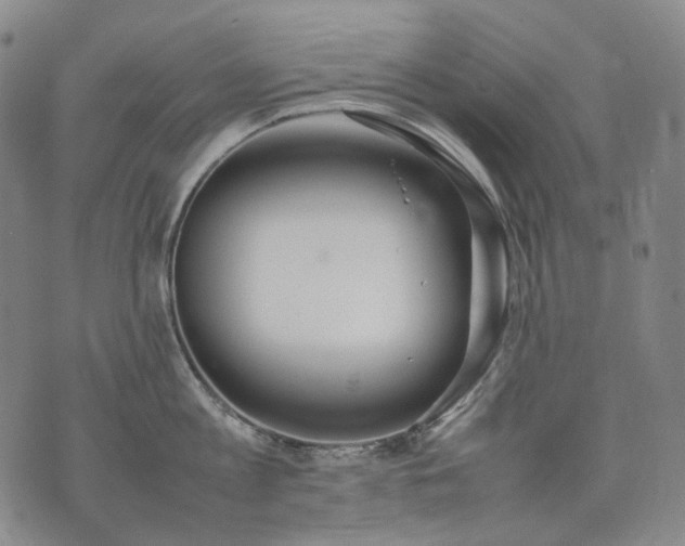 X0000074310813200609011511