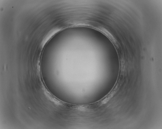 X0000074310814200609011511