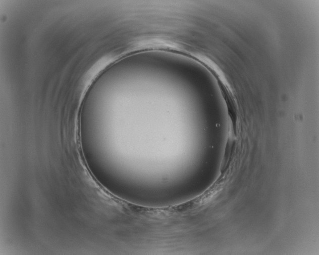 X0000074310815200609011511