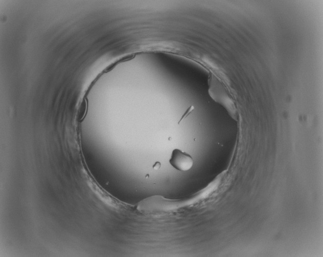 X0000074310816200609011511