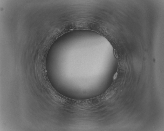 X0000074310817200609011510