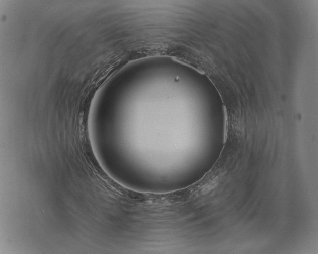 X0000074310818200609011510