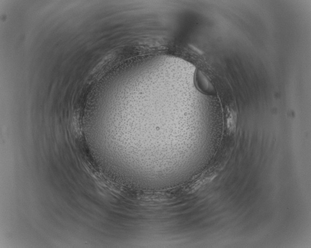 X0000074310819200609011510