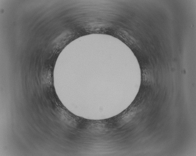 X0000074310820200609011510