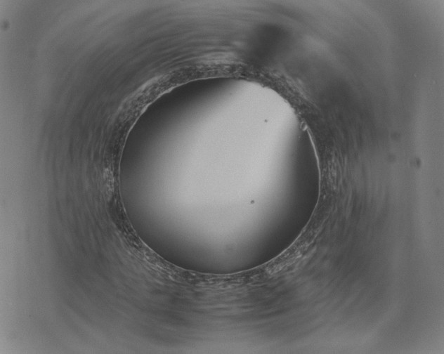 X0000074310821200609011510