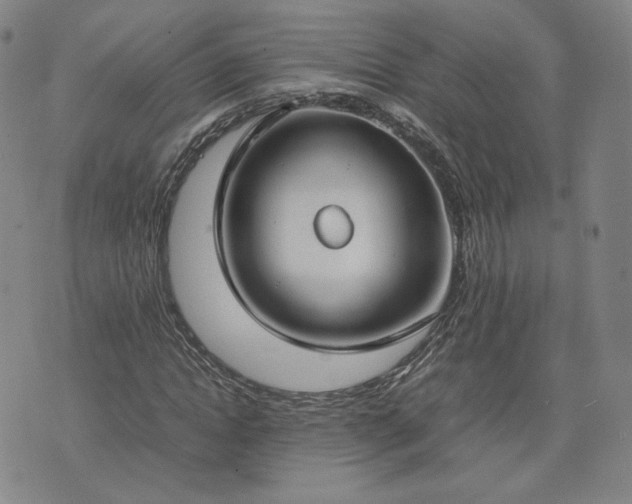 X0000074310822200609011510