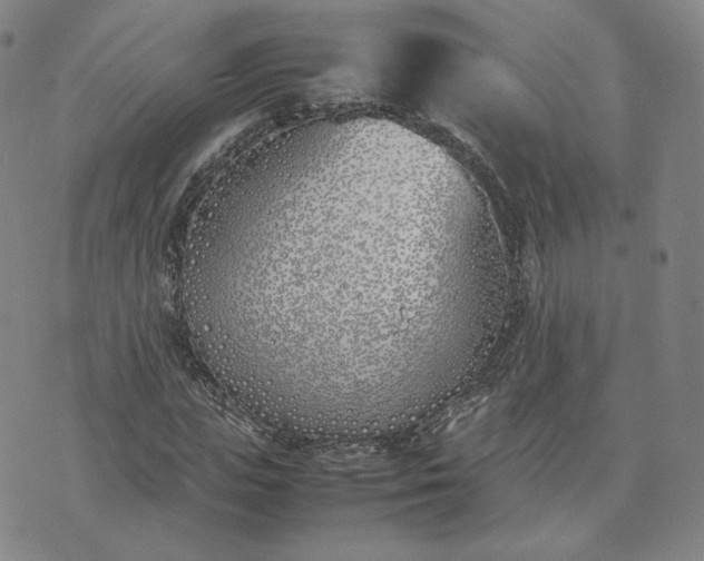 X0000074310823200609011510