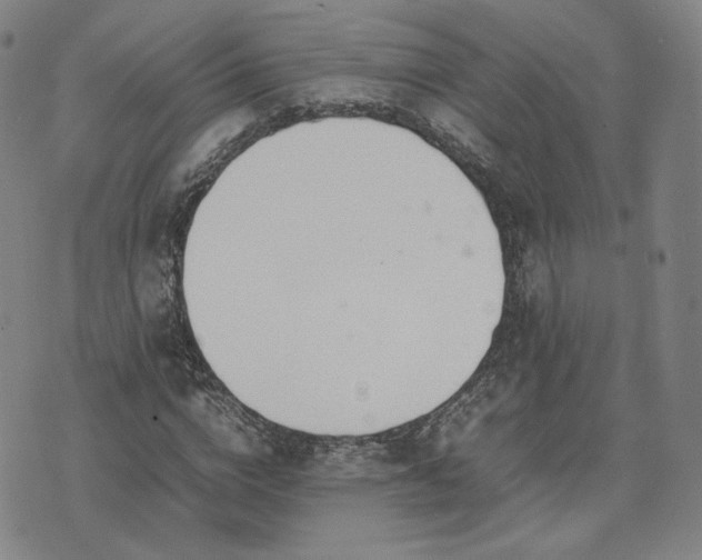 X0000074310824200609011510