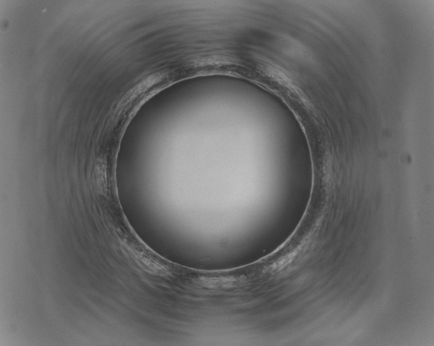 X0000074310825200609011510