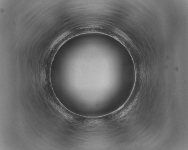 X0000074310826200609011510