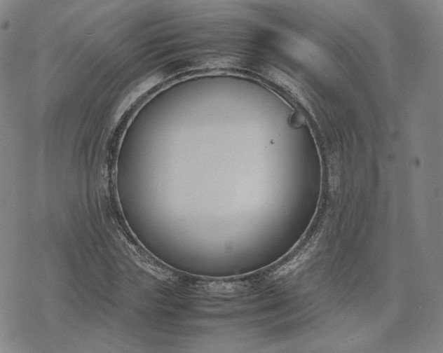 X0000074310827200609011510