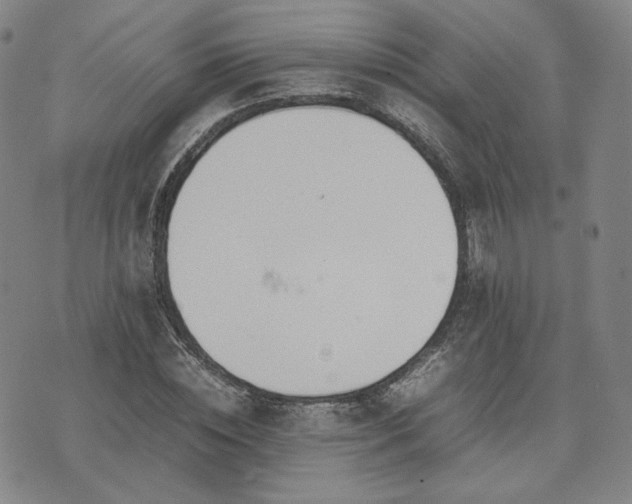 X0000074310828200609011510