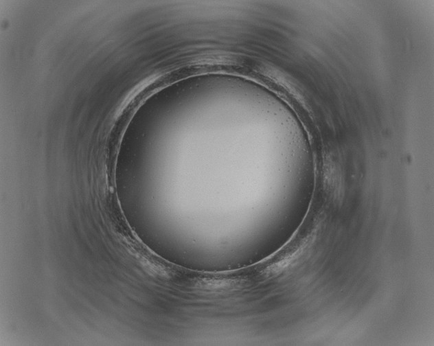 X0000074310829200609011510