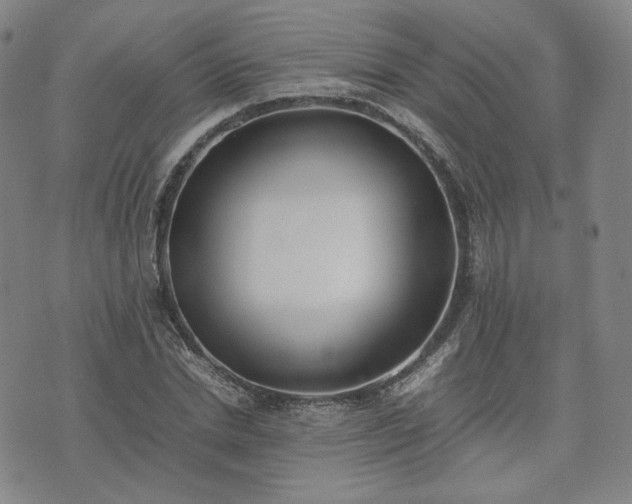 X0000074310830200609011510