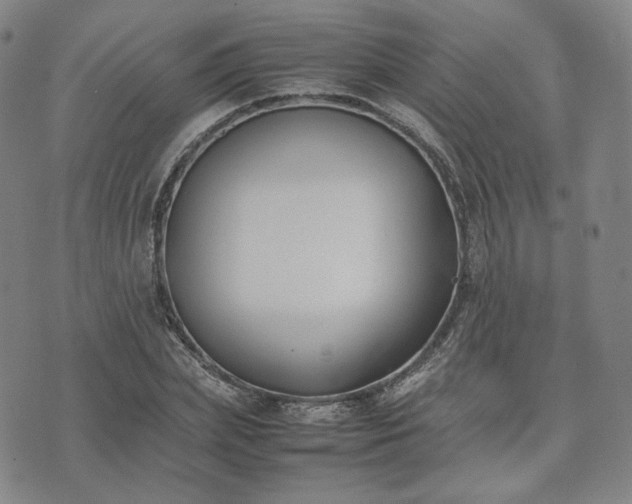 X0000074310831200609011510