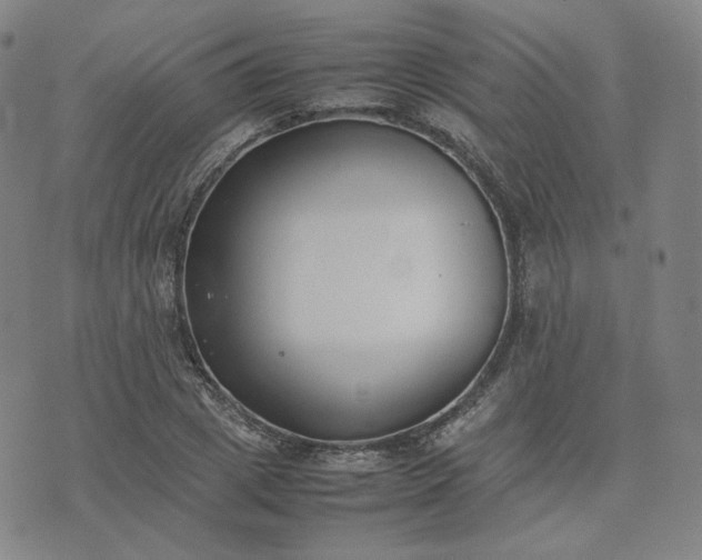 X0000074310833200609011510