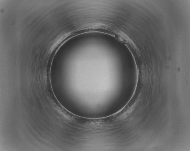 X0000074310834200609011510