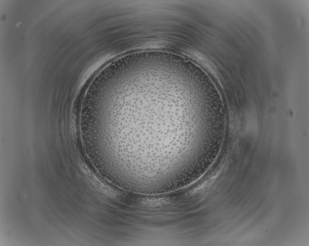 X0000074310835200609011510