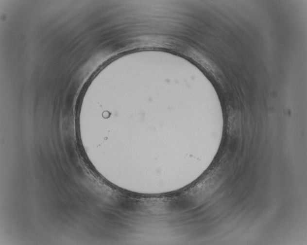 X0000074310836200609011510