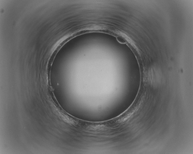 X0000074310837200609011510