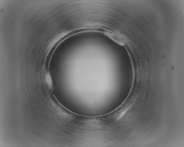 X0000074310838200609011510