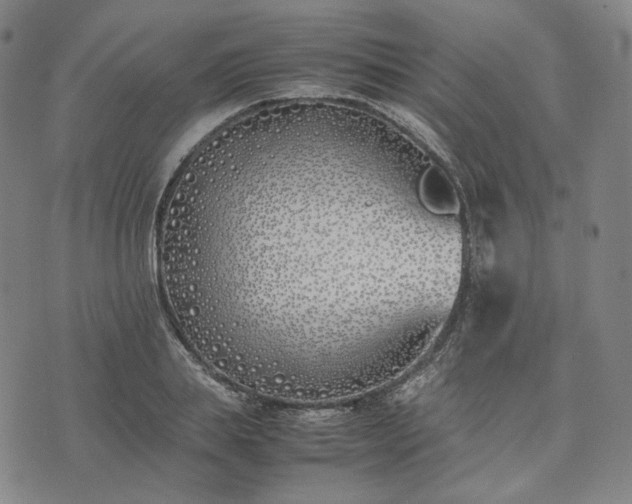 X0000074310839200609011510