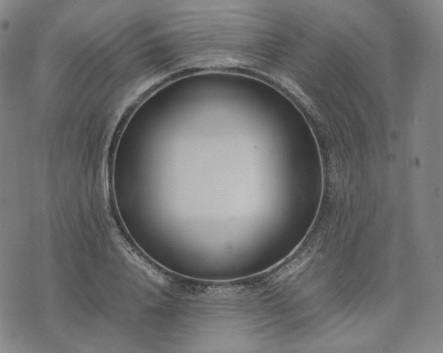 X0000074310840200609011510