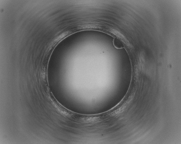 X0000074310841200609011510