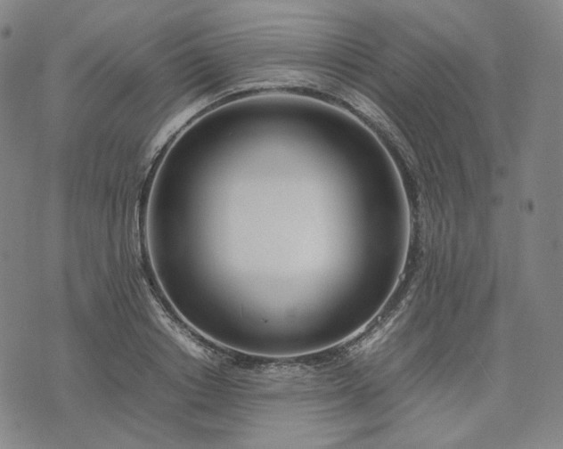 X0000074310842200609011510