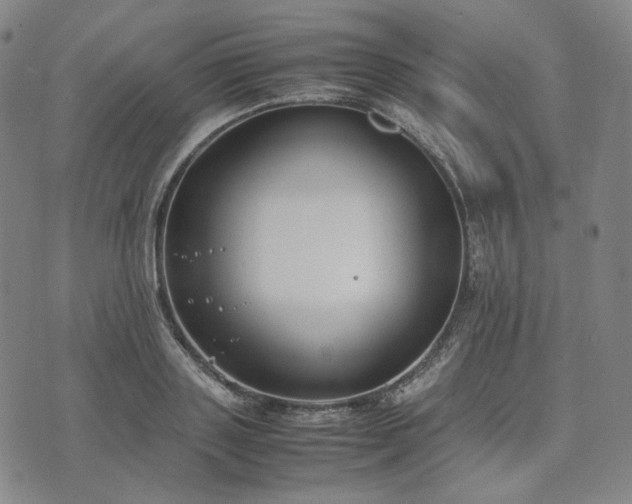 X0000074310843200609011510