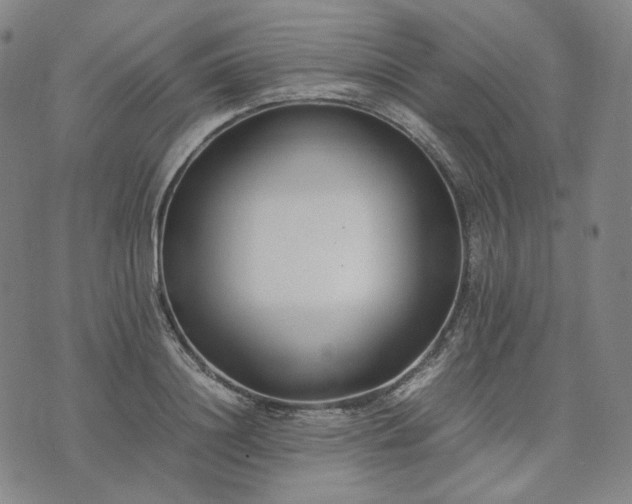 X0000074310844200609011510