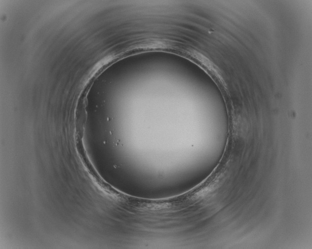 X0000074310845200609011510