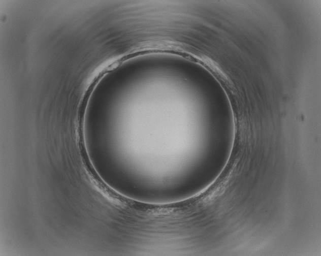 X0000074310846200609011510