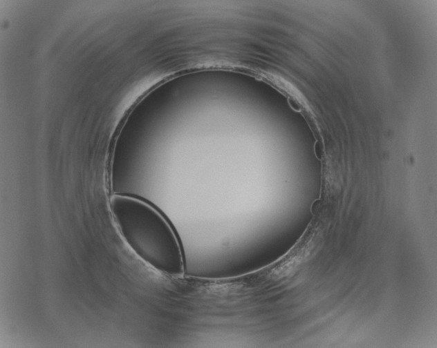 X0000074310847200609011510