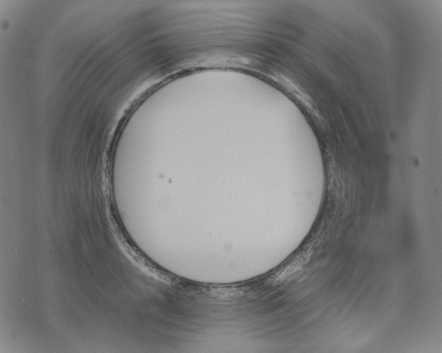 X0000074310848200609011510