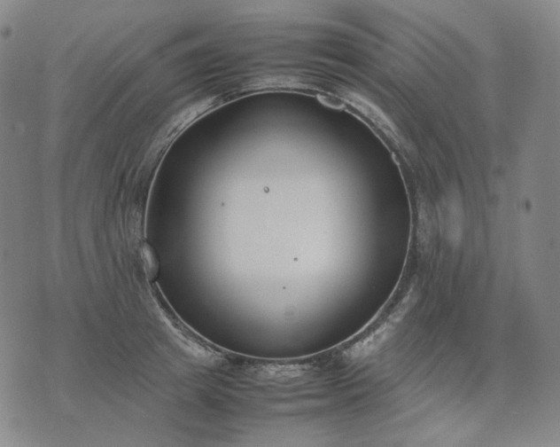 X0000074310849200609011510