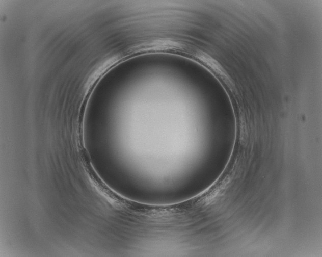 X0000074310850200609011510