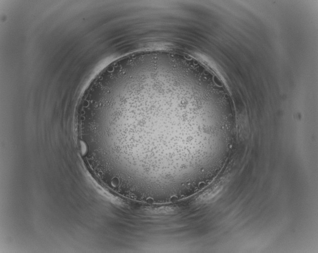 X0000074310851200609011510