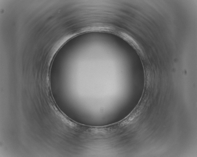 X0000074310852200609011510