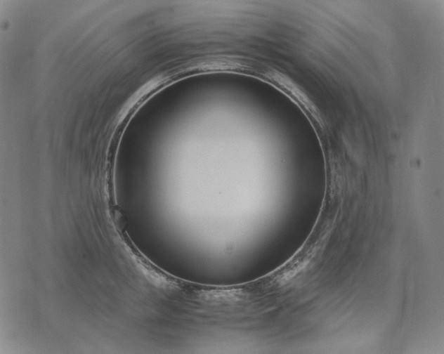 X0000074310853200609011510