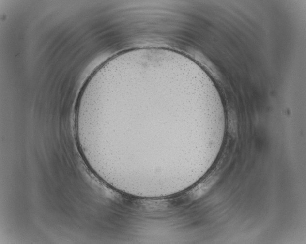 X0000074310856200609011510