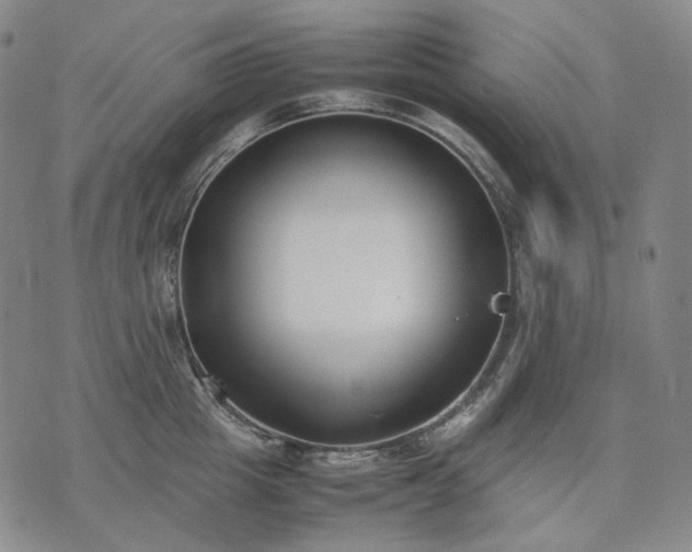 X0000074310857200609011510