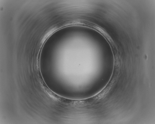 X0000074310858200609011510