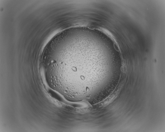 X0000074310859200609011510