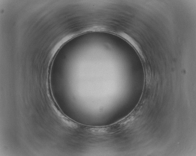 X0000074310861200609011511